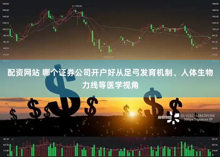 配资网站 哪个证券公司开户好从足弓发育机制、人体生物力线等医学视角
