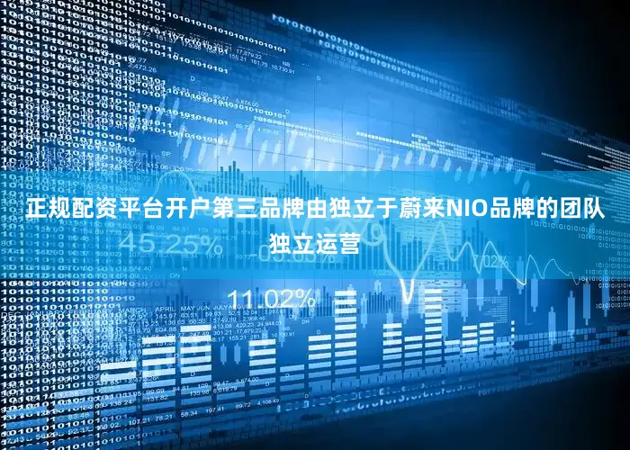 正规配资平台开户第三品牌由独立于蔚来NIO品牌的团队独立运营