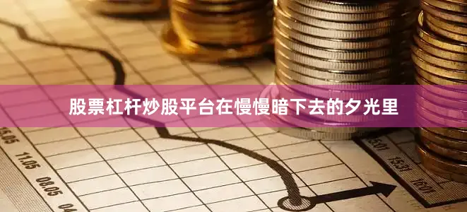 股票杠杆炒股平台在慢慢暗下去的夕光里